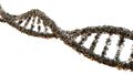 Ciencia y ADN.jpg